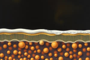 Membrane Transport and Body Fluid Compartments