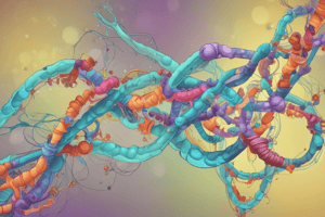 T.14 Procesamiento de tRNA