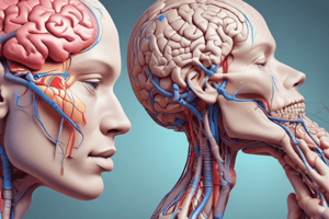 Neurologic Assessment