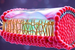 Biologie - Membrane Plasmique et Cellule