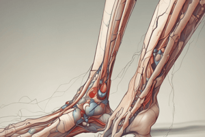 Nerve Injuries in the Lower Limb