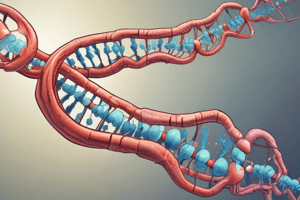 Chromosomal Abnormalities Lecture