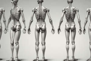 Spinal and Lower Limb Deformities Quiz