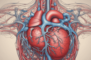 Human Anatomy: The Heart and Its Functions