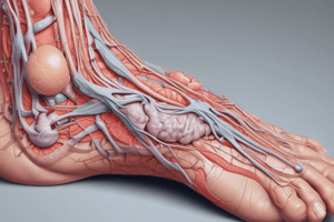 Common Integument and Skin Appendages