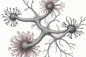 Complement Proteins: Innate Immunity