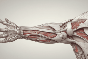 WK 2: Upper Limb Anatomy