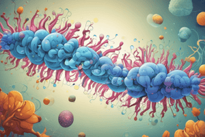 Ribonucleotide Reductase Enzyme Function