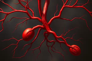 Hemodynamics and Circulatory System