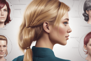 Hairstyling Terminology Quiz