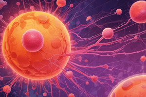 Acute Promyelocytic Leukemia (APL) Pathogenesis