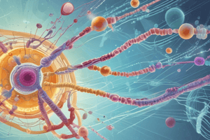 Prokaryotic Gene Regulation Mechanisms