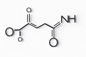 Optical Activity and Chirality