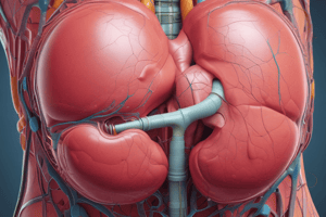 The Urinary System Chapter 25.1: Physical Characteristics of Urine