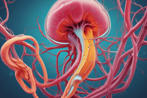 Anatomy of the Nephron and Urine Analysis