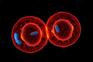 Cell Division: Mitosis, Meiosis and Gametogenesis