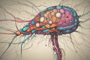 Pharmacology of the Central Nervous System Quiz