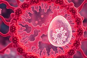 Cell Biology: Chromosome Structure & Cell Cycle