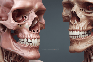 Oral Pathology: Alveolar Bone and Process