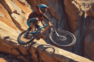 Descenders and Belayers (I'D models S and L) 2.4.1 Specifications