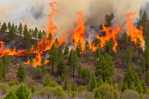 TEMA 6. Incendios Forestales: Factores, Tipos de fuego, Extinción y Tácticas.