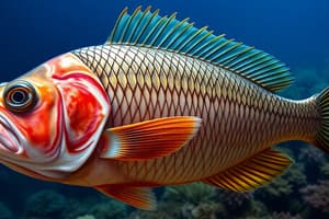 Muscle Types in Fish and Deep Sea Ecosystems