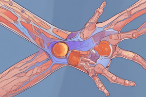 Rheumatoid Arthritis Pathophysiology