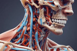 Classification of Joints based on Connective Tissue and Movement Potential