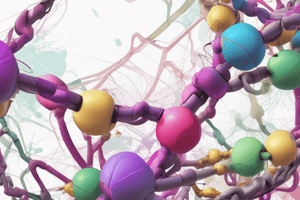 Branched Chain Amino Acids Metabolism