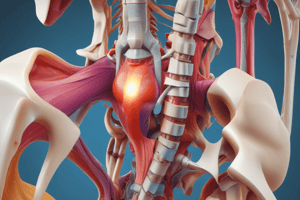 Paula Moleirinho Alves: Sacroiliac Joint Stabilization