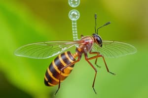 Gas Exchange in Insects and Humans