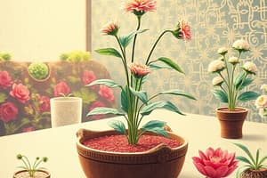 Aseptic Plant Tissue Culture