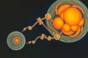 Transport of Oxygen & Carbon Dioxide