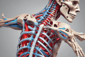 Spine Movements and Shear Forces Quiz