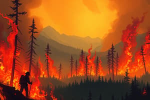 2023 Canadian Wildfires: Zombie Fires