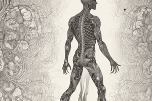 Somatosensory Pathways and Signals