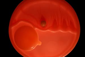 Embryology Overview: Early Development