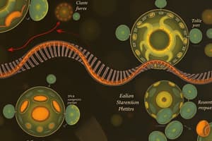 Regulation of the Cell Cycle and Checkpoints