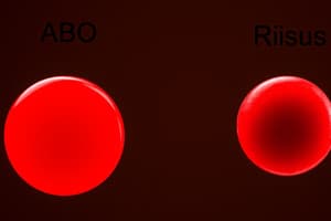 Blood Typing Basics