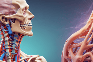 Cervical Myelopathy Overview