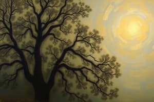 Untitled Quiz