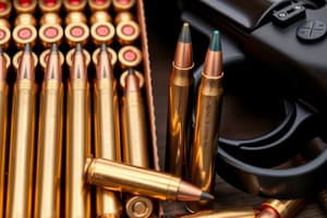 Ammunition Types and Inspection Quiz