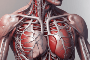 Cardiovascular Anatomy Quiz