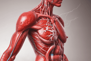 Hemostasis and Inflammation Phase