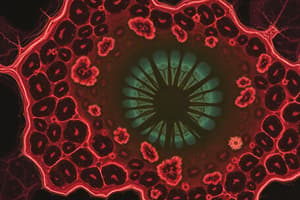 Cytology Chapter 5.1: Cell Structure and Function