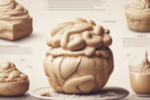 Physical Changes During Dough Formation