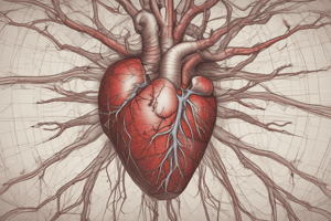 3.1 Anatomy of the Cardiovascular System: Arteries and Veins