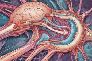 Anatomy of the Optic Nerve Head Quiz