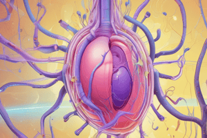 Human Physiology: Urine Production Processes