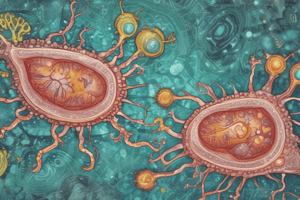 Intestinal Protozoa Staining Techniques